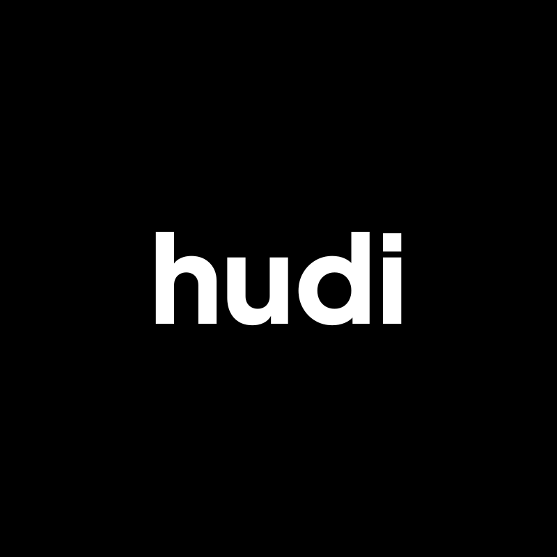 HUDI Logo